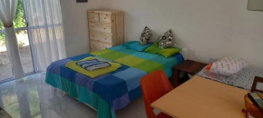 Monzo House